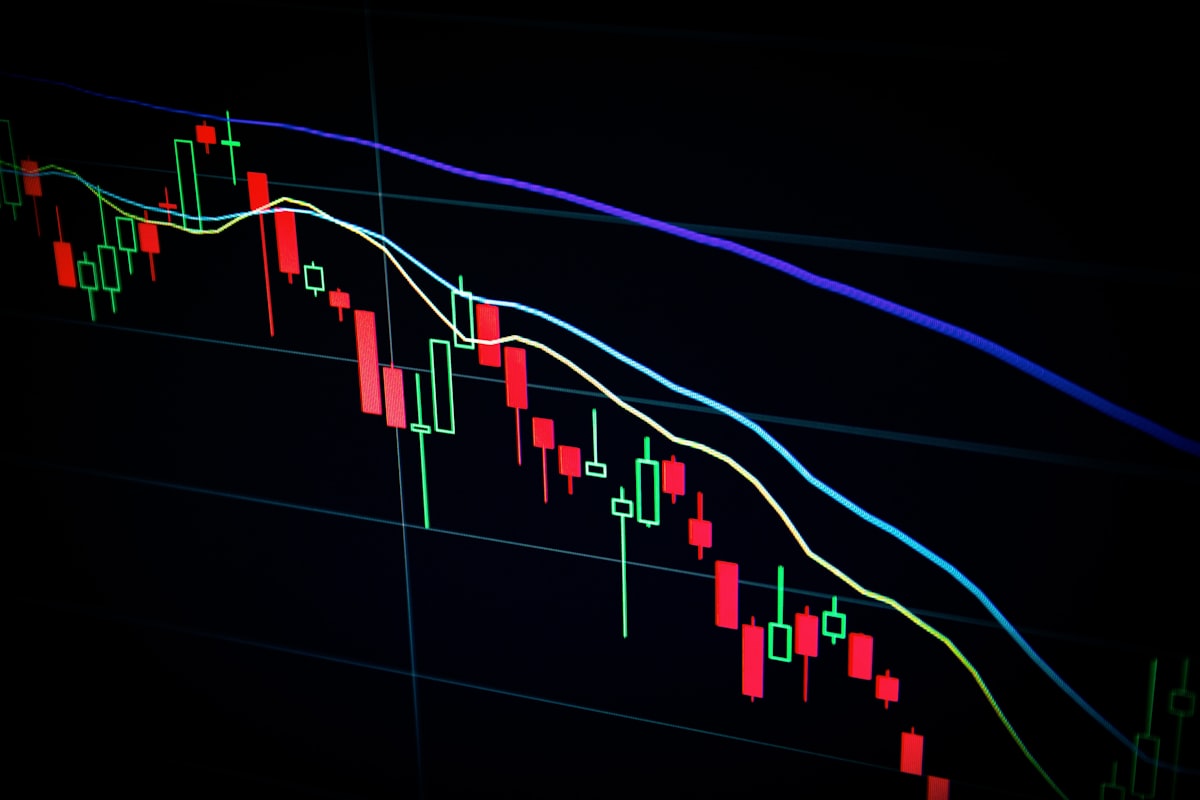 Crypto Winter Survival Guide: Protecting Capital in Bear Markets
